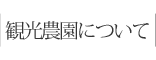 観光農園について