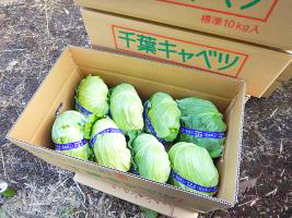 吉田農園 アルバム