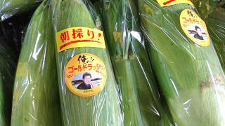 吉田農園 アルバム