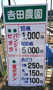 料金